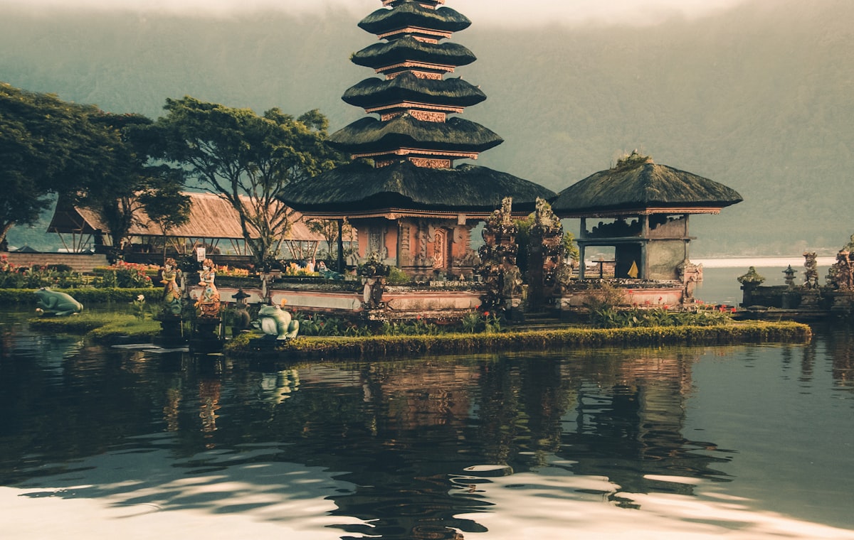 Terraced rice fields in Bali